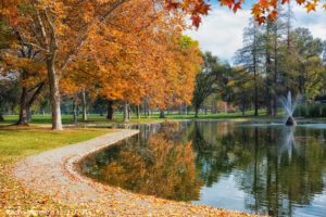 Land Park photo by Pedro Marenco